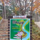 구절리역 이미지