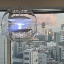 노을피아노학원 이미지