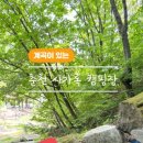 사가록캠핑장 이미지