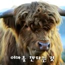 이마경로당 이미지