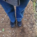 거문 | 제주오름 거문오름 탐방 후기 / 탐방예약, 코스정보, 입장료