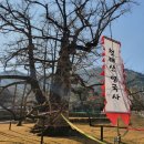 노후사 | 234회 정기답사 (충북 영동)