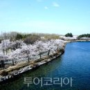 혁신도시여행사 이미지