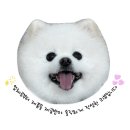 맛있개 건강하개 | [건강하개] 휴먼그레이드로 만든 건강한 간식 바삭 소고기칩