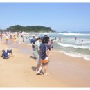 해변연가 이미지