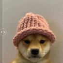 코인 이미지