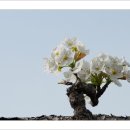 석현농장 이미지