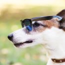 미사다나을동물병원 이미지