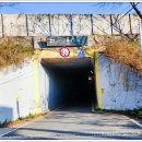 섬진강대나무숲길 이미지