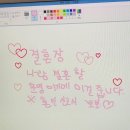 W1. 스냅 예약 후기 : 심도x비안 서울 촬영 패키지