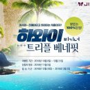 하와이 이미지