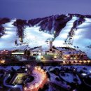 대명리조트 이미지