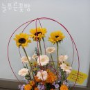 푸른꽃방 이미지