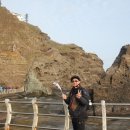 속초동물의료센터 이미지