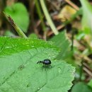 쇠재공원 이미지