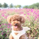 거꾸로 본 안경세상 이미지