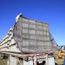 벌과 사람 이미지