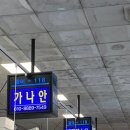 태평양횟집 | 대방어 맛집 노량진수산시장횟집 태평양수산 포장 후기