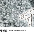 정이만물 이미지