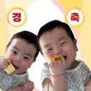 삼산미소약국 | 5월과 6월 즈음의 기록