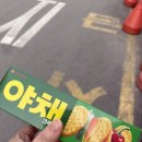 가나식당2호점
