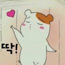 고기오빠