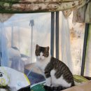 신진도약국 이미지