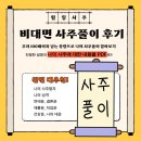 선인에너지 | 비대면 사주풀이 후기 - 정통사주 프리미엄 분석