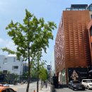 명성치과기공소 | 압구정로데오역치과, 연예인도 라미네이트하는곳