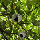 병권네포도농원 | 작년 9월에 다녀온 입장 거봉축제🍇 (거봉따기 체험)