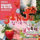 피크닉마트 | 진주 딸기축제 2026 총정리 🍓 주차부터 먹거리까지 솔직 후기