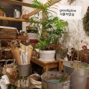 식물작업실그로우앤글로우