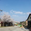 주치골이야기 | 소백산 영주 주치골마을 카페 - 주치골이야기