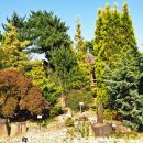 부천자연생태공원 이미지