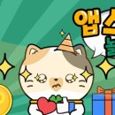 까사까리도 이미지