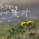 담묵
