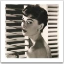 Audrey Hepburn 이미지