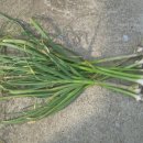 내덕농장 이미지