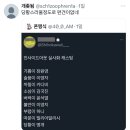 어떤 트위터리안의 인사이드아웃 실사화 캐스팅 이미지