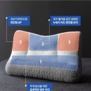 필로텍스 이미지