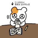 후광산업 | [디자인] 2026년 제 7회 서비스 경험디자인 기사 필기시험 간단후기