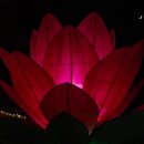 삼원사 Daum카페