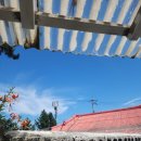 스테이서프픽 이미지