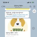 댕댕이냥 이미지