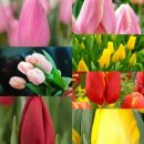 김제농장 이미지