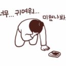 똥꼬발랄 이미지