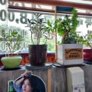 마포연탄불갈비 이미지