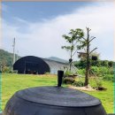 참옻나무촌닭 이미지