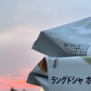 6월, 7월 사실 몰라 (바다낚시, 뱅에돔, 지바겐 G63 메뉴팩처, KTX 예매 꿀팁, 서울역 주차, 사보텐...