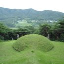 삼한국대부인순흥안씨묘 이미지
